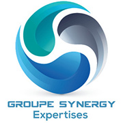 Groupe Synergy Expertises
