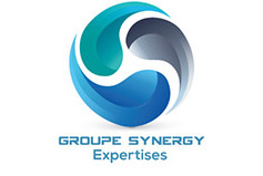 groupe synergy expertises